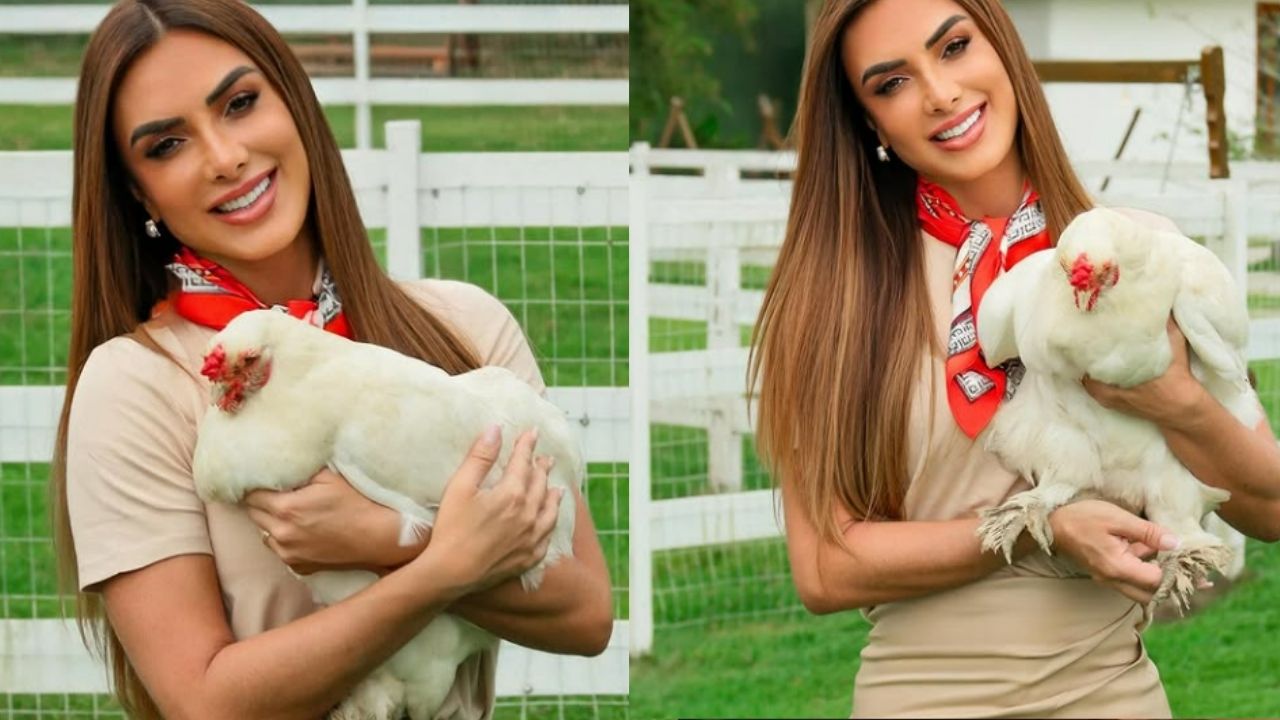 Nicole Bahls revela que vive da venda de ovos e leite e explica como organiza suas finanças