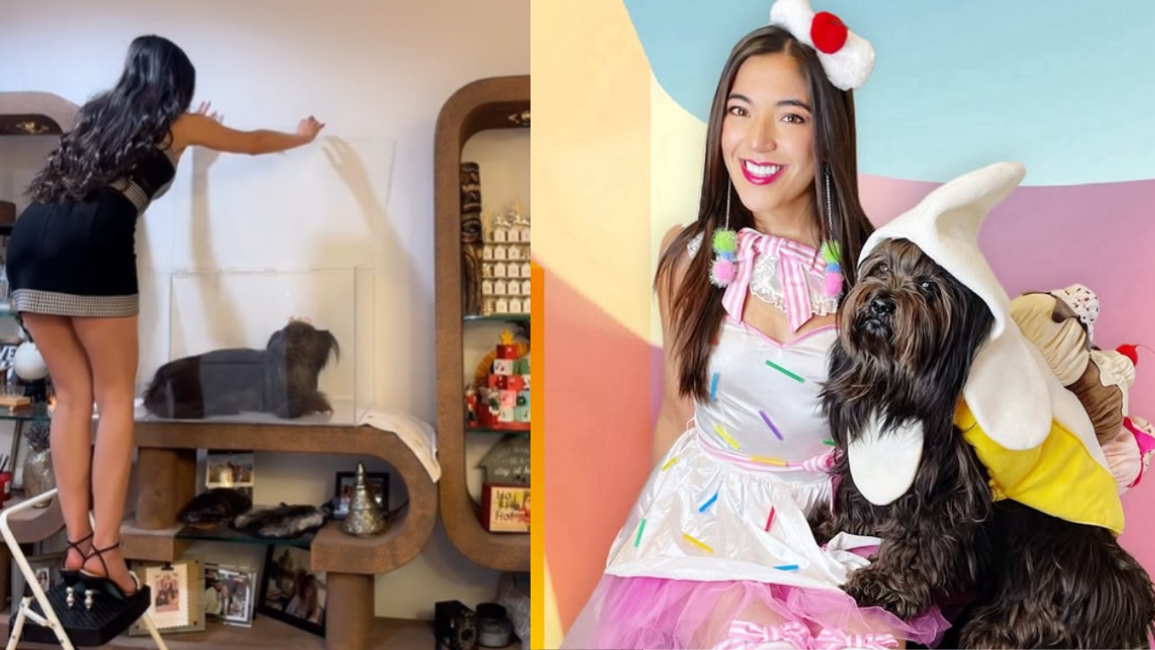 Influencer exibiu cadela preservada em caixa de vidro e dividiu opiniões nas redes sociais